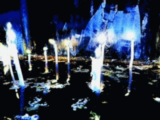 Starer : The Flickering